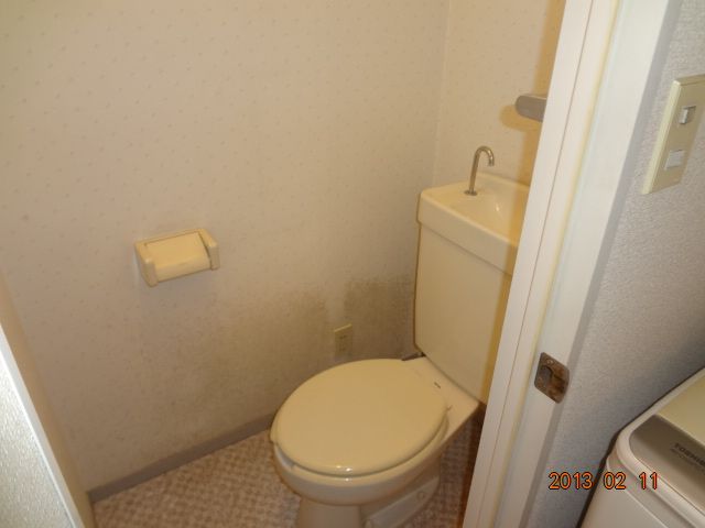 Toilet