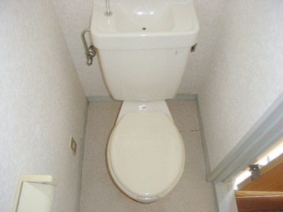 Toilet. Toilet with cleanliness