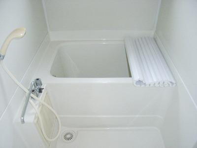 Bath. Clean bathroom