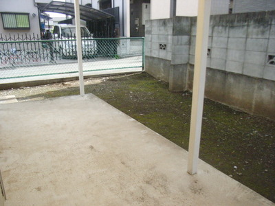 Garden. Private garden