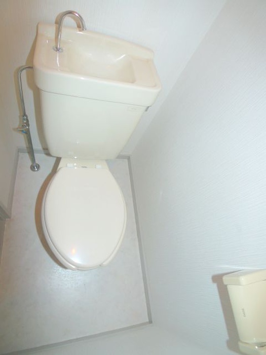 Toilet. Toilet