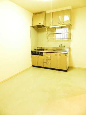 Kitchen. System kitchen