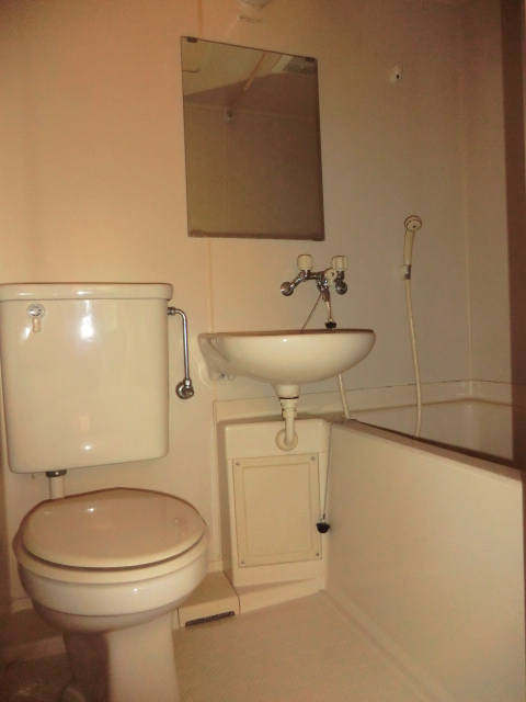 Toilet