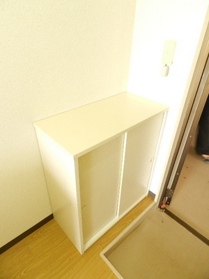 Receipt. Shoe box