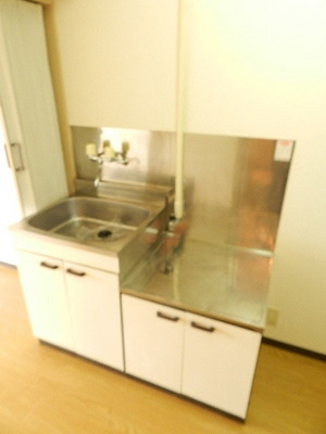 Kitchen. Gas stove 2 burners installed Allowed! 