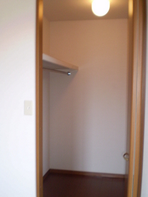 Other. Spacious walk-in closet