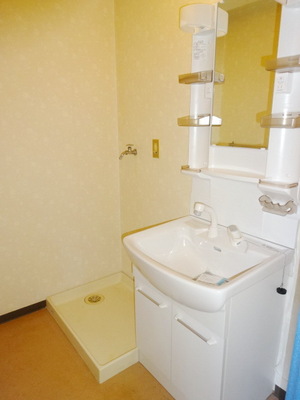 Washroom. Shampoo is a wash basin