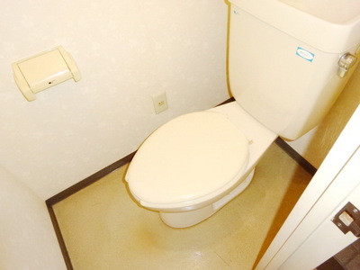 Toilet. Bidet can be installed
