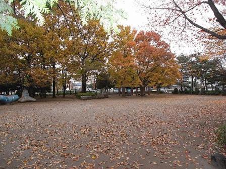 park. 50m to Zhongshan Park (park)