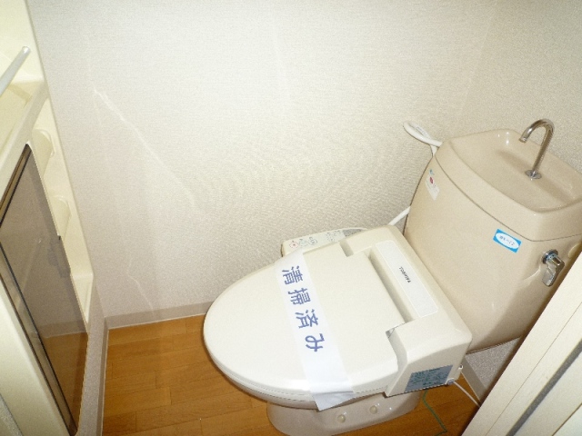 Toilet. With hot water shower