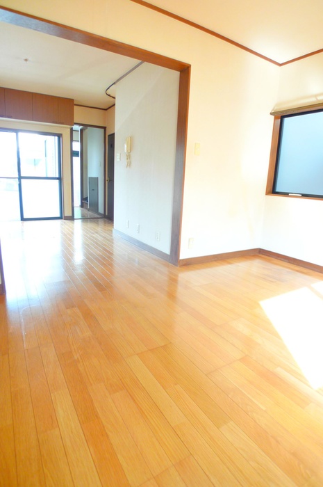 Living and room. Window many bright! 