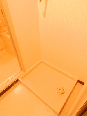 Washroom. Washing machine in the room