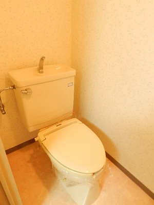Toilet. toilet There is top shelf