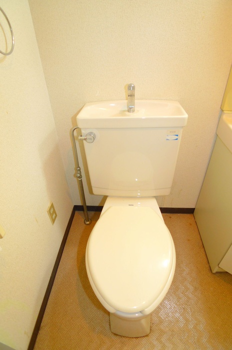 Toilet. Toilet