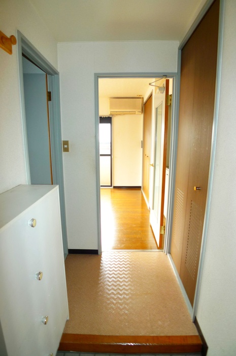 Entrance. Shoe box