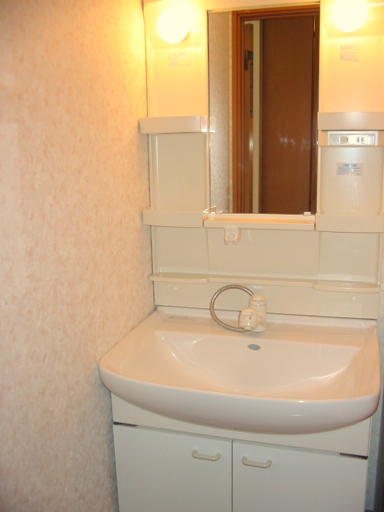 Washroom. Shampoo dresser
