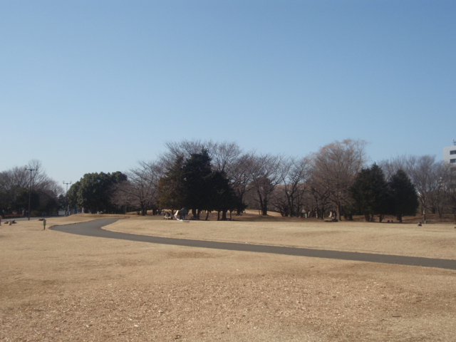 Other. Aviation Memorial Park