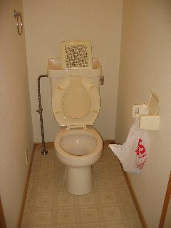 Toilet