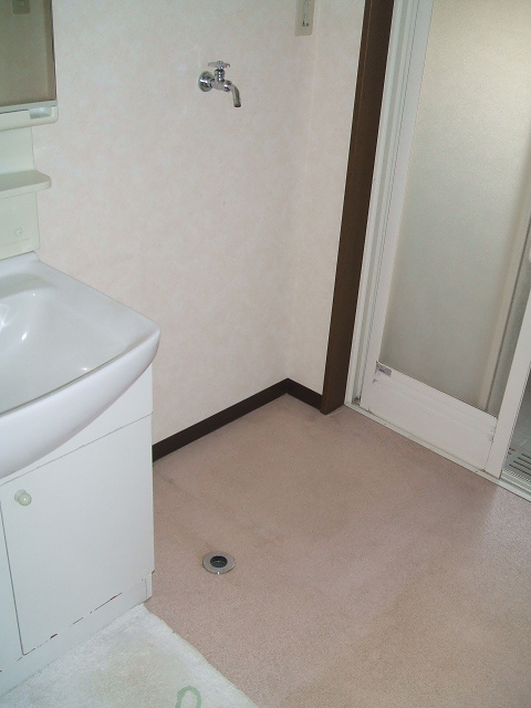Washroom. Indoor Laundry Storage
