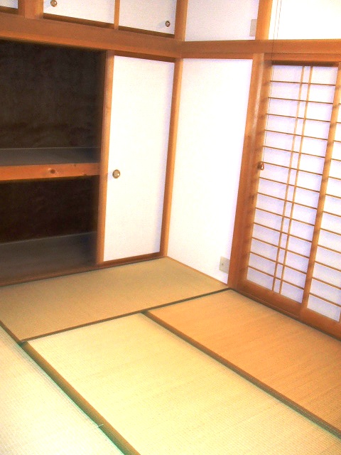 Other room space. Closet and Japanese-style room