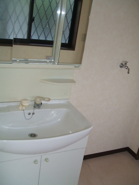 Washroom. Independent wash basin