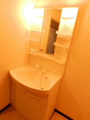 Washroom. Shampoo dresser