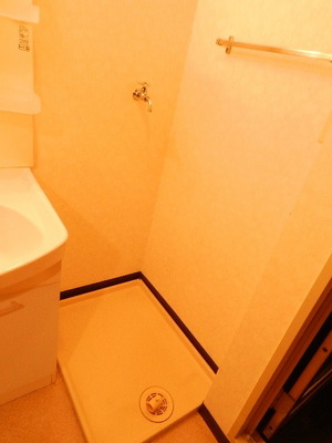 Washroom. Laundry Area