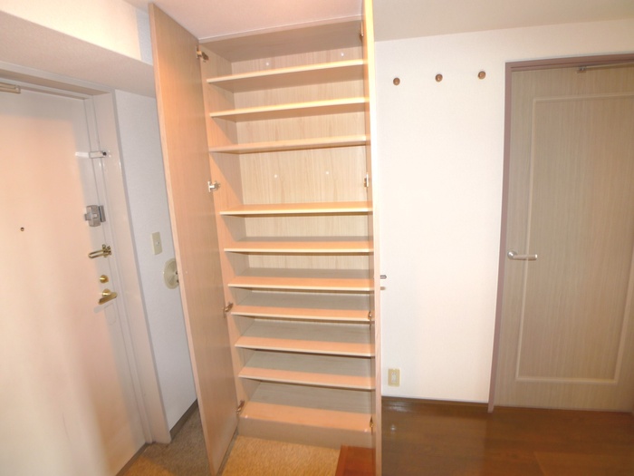 Entrance. Large shoebox-conditioned!