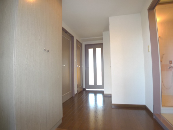 Entrance. Corridor.