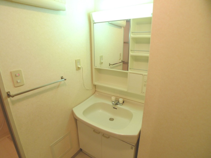 Washroom. Popular independent wash basin
