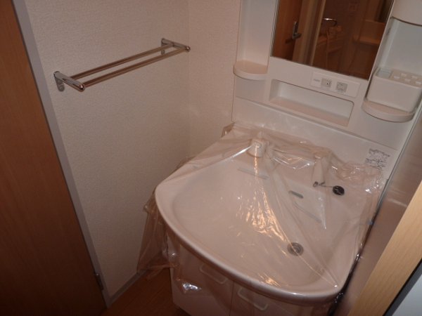 Washroom. Washbasin with shower