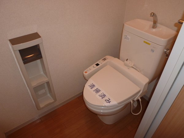 Toilet. Cleaning function toilet