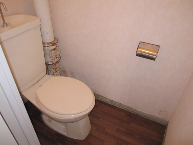 Toilet