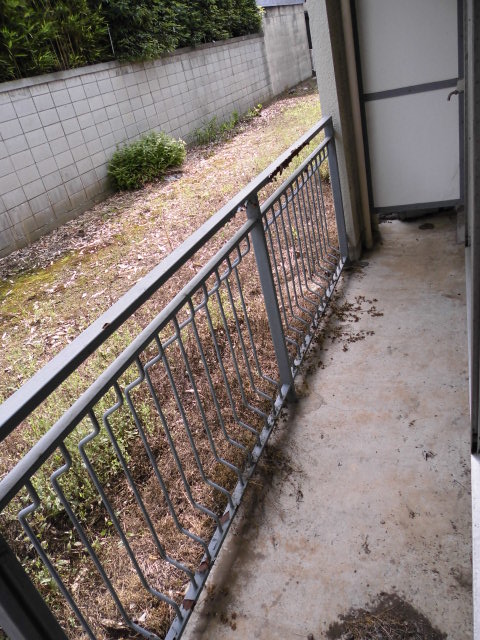 Balcony. Veranda
