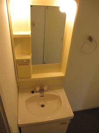Washroom. Independent wash basin with vertical lighting. Next to the indoor washing machine Storage.