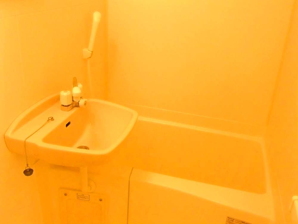 Bath. With bathroom ventilation dryer