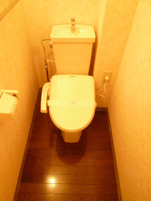 Toilet. Toilet
