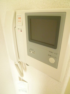 Security. TV Monitahon