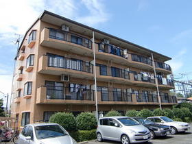Building appearance