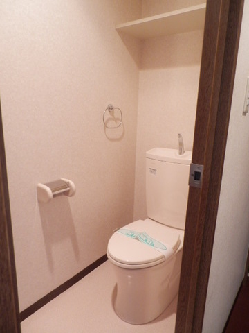 Toilet. Also it comes with a shelf for the storeroom to the toilet top.