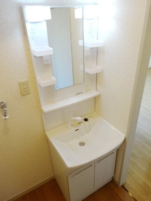 Washroom. Exchange did shampoo dresser