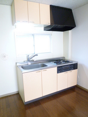 Kitchen. Kitchen new three-necked grill system Kitchen