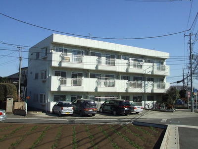 Building appearance. Sunny