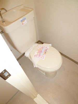 Toilet. Toilet