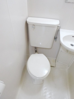 Toilet. Toilet with cleanliness