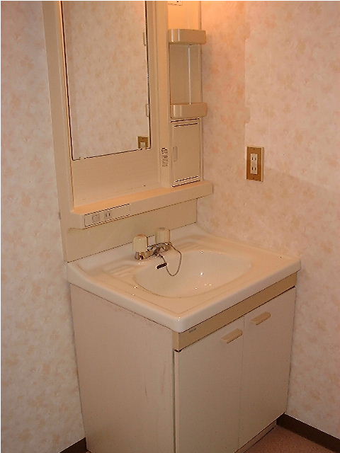 Washroom. Independent wash basin. Convenient lighting and with rack.