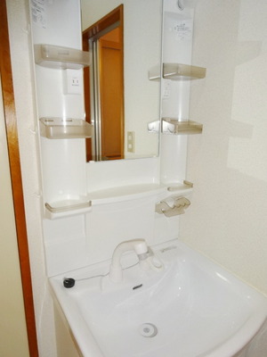 Washroom. Wash basin