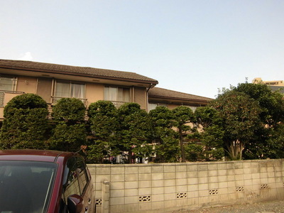 Building appearance