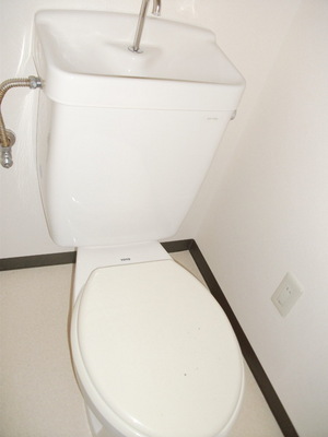 Toilet. Toilet with cleanliness