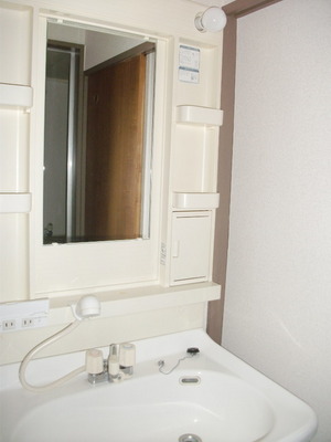 Washroom. Washbasin with shower